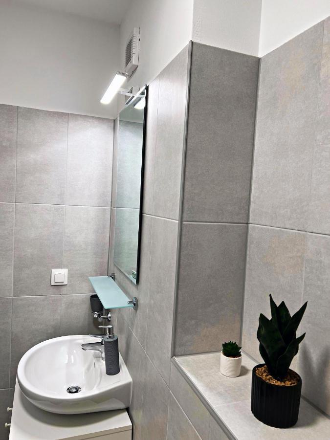Panoramic Forest View Apartment Dumbravita  Extérieur photo